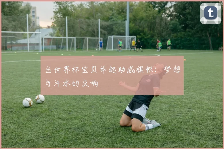 当世界杯宝贝举起助威旗帜：梦想与汗水的交响