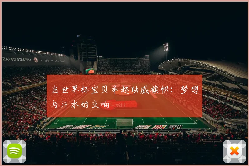 当世界杯宝贝举起助威旗帜：梦想与汗水的交响