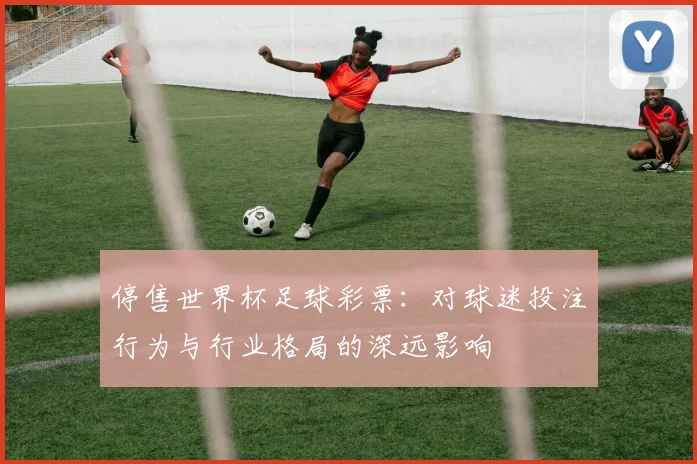 停售世界杯足球彩票:对球迷投注行为与行业格局的深远影响