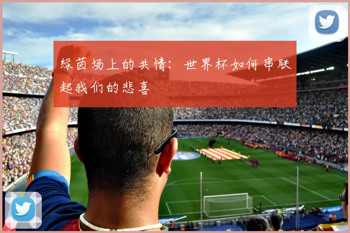绿茵场上的共情：世界杯如何串联起我们的悲喜