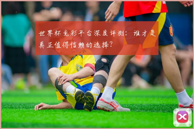 世界杯竞彩平台深度评测：谁才是真正值得信赖的选择？