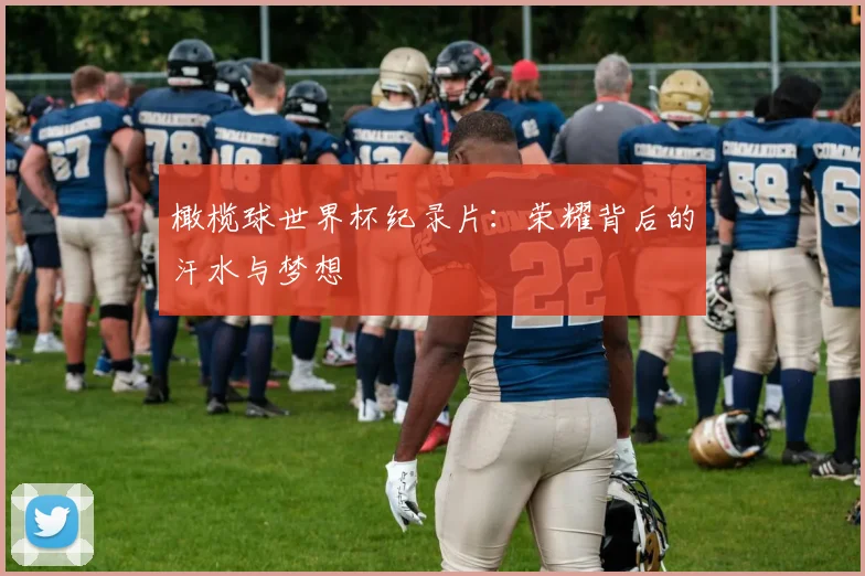橄榄球世界杯纪录片：荣耀背后的汗水与梦想