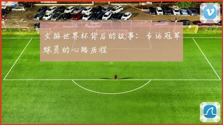 女排世界杯背后的故事：专访冠军球员的心路历程
