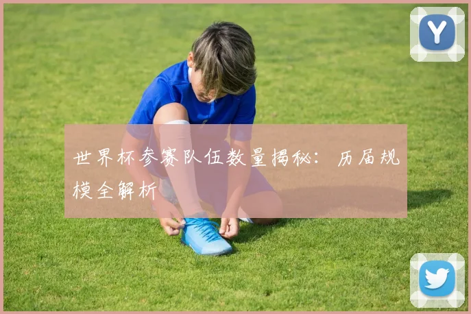 世界杯参赛队伍数量揭秘：历届规模全解析